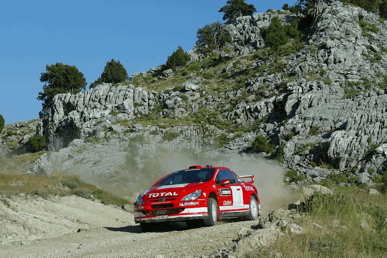 2004 Peugeot 307 WRC 245536