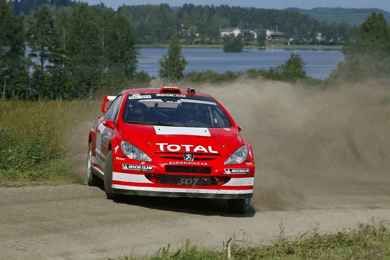2004 Peugeot 307 WRC 245538