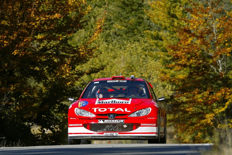 2003 Peugeot 206 WRC 245558