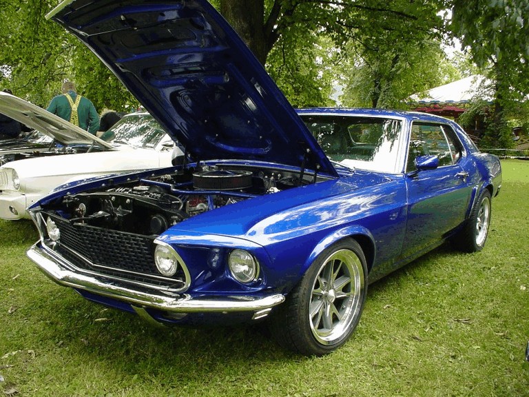 1969 Ford Mustang 247960