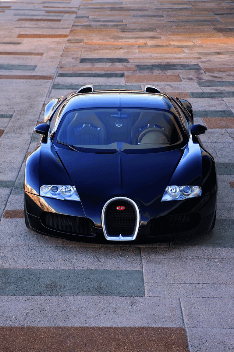 2009 Bugatti Veyron Centenaire 250098