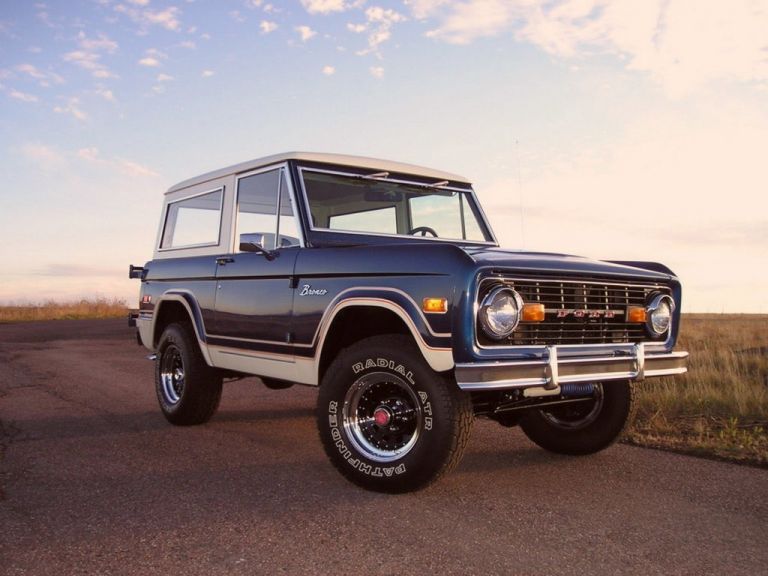 1966 Ford Bronco 592044
