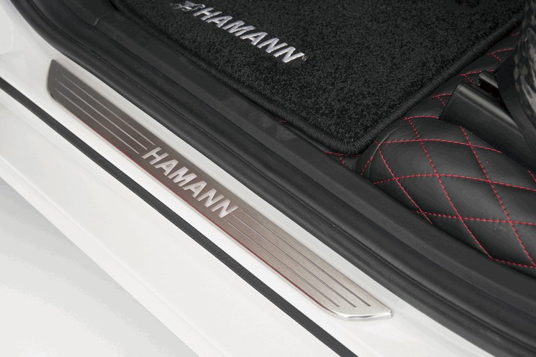 2010 Hamann Flash Evo M ( based on BMW X5 M ) 293366